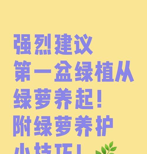 如何养护绿萝使其爆盆疯长？