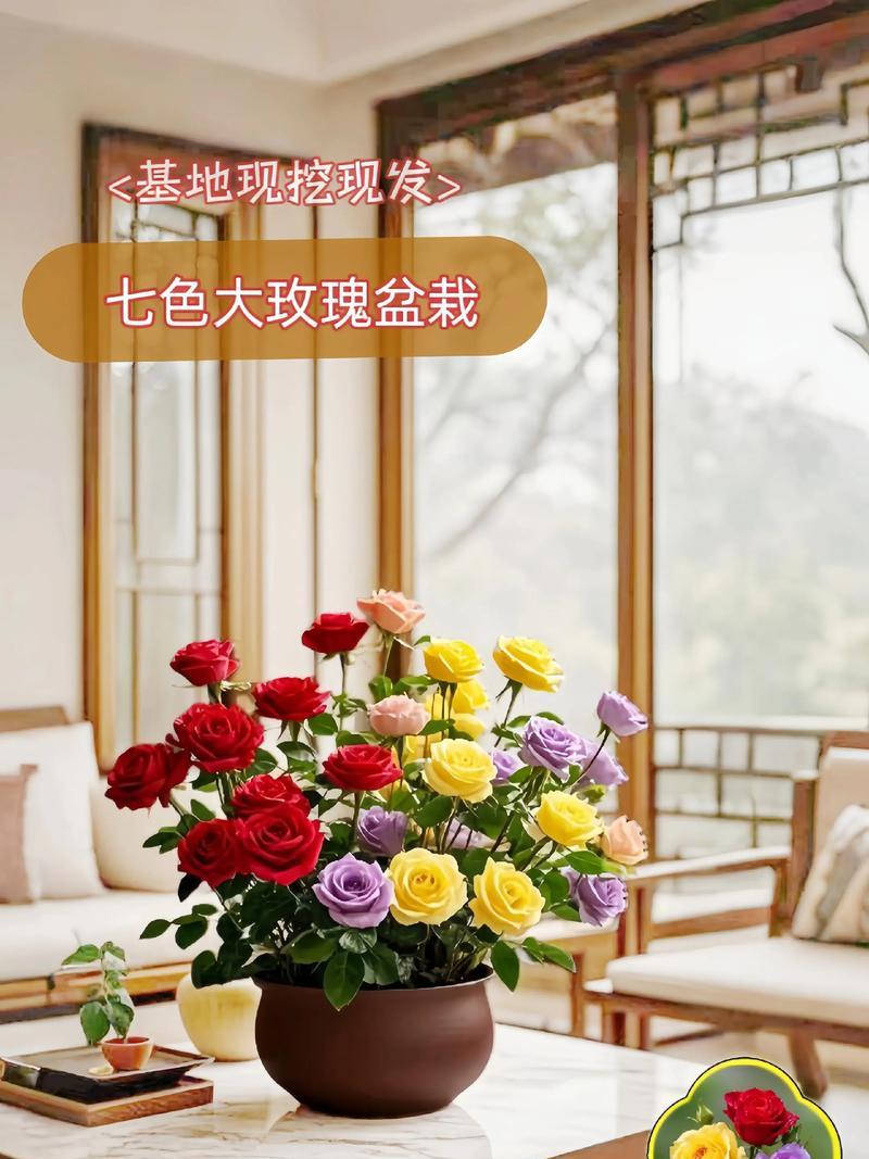 珍稀盆栽如何养护？