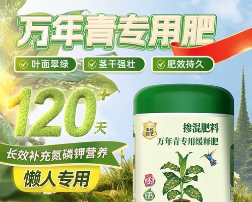 万年青叶子发黄下垂怎么办？