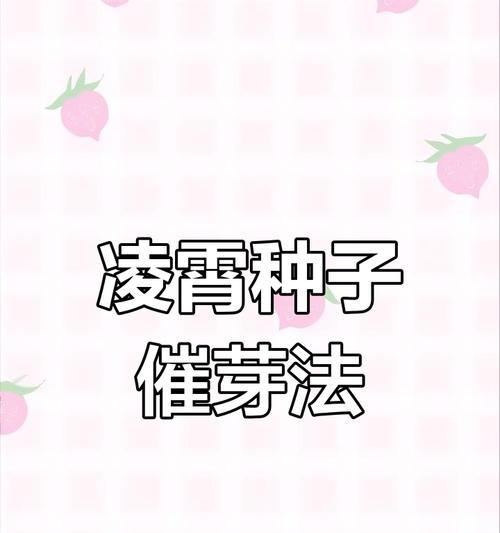 玉米种子催芽五种方法与种植管理全解析：如何有效催芽？