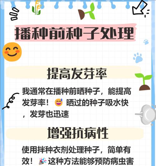 玉米种子催芽五种方法与种植管理全解析：如何有效催芽？
