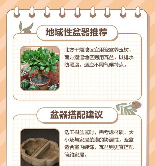 玉树养护详解：从特性到修剪技巧有哪些？