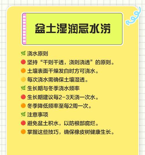 家中橡皮树养护指南：植物特征与生长习性全解析如何进行？