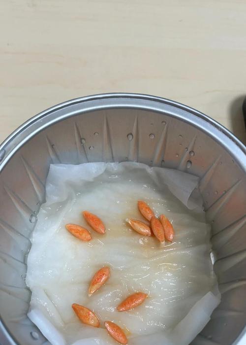 种子催芽技巧有哪些？如何让发芽更简单？