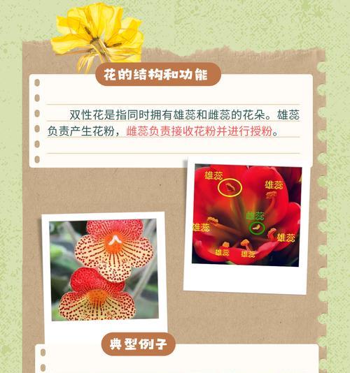 繁殖的含义是什么？植物繁殖的基本方法有哪些？