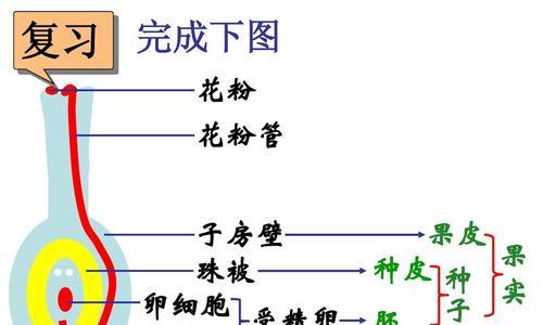 繁殖的含义是什么？植物繁殖的基本方法有哪些？