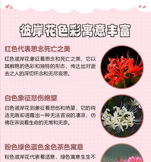 彼岸花的光照和温度要求是什么？为何不宜放卧室？