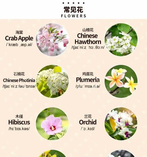 为什么说万年青是“智商税”？根本养不活的原因是什么？