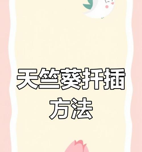 天竺葵如何养护与繁殖？养护与繁殖的完全指南是什么？