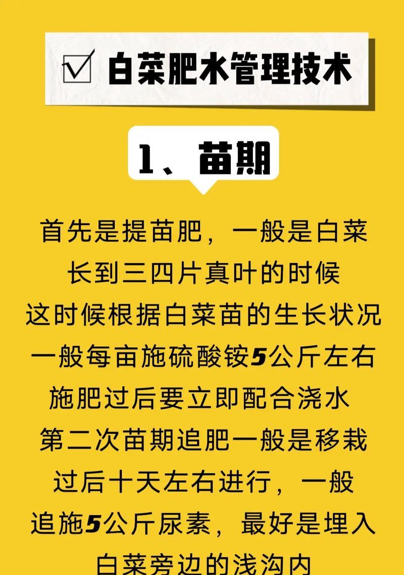 白菜的季节选择与栽培技术如何？种植白菜的全攻略是什么？