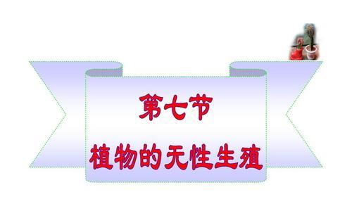 植物有性生殖与无性生殖的核心差异是什么？