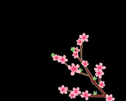 桃花苞素材有哪些特点？