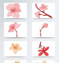 桃花苞素材有哪些特点？