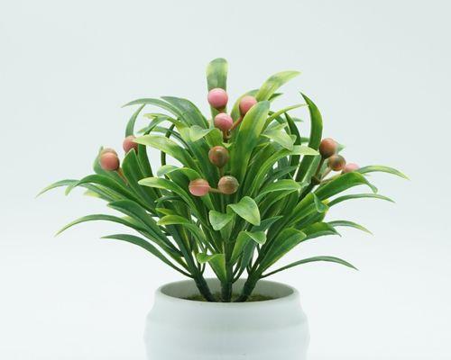 假绿色植物小盆栽有哪些特点？