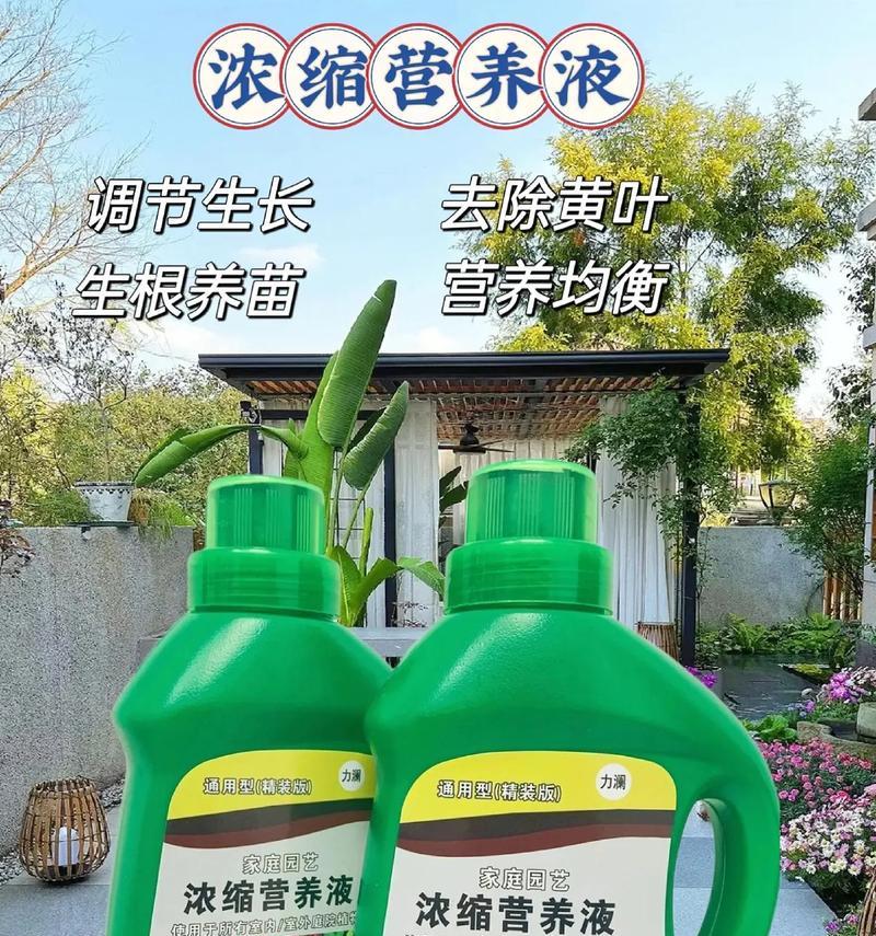水竹使用通用型营养液有哪些小技巧？