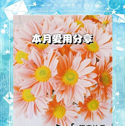 雏菊鲜切花的保鲜方法是什么？