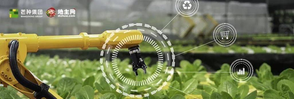 现代农业种植技术有哪些要点？