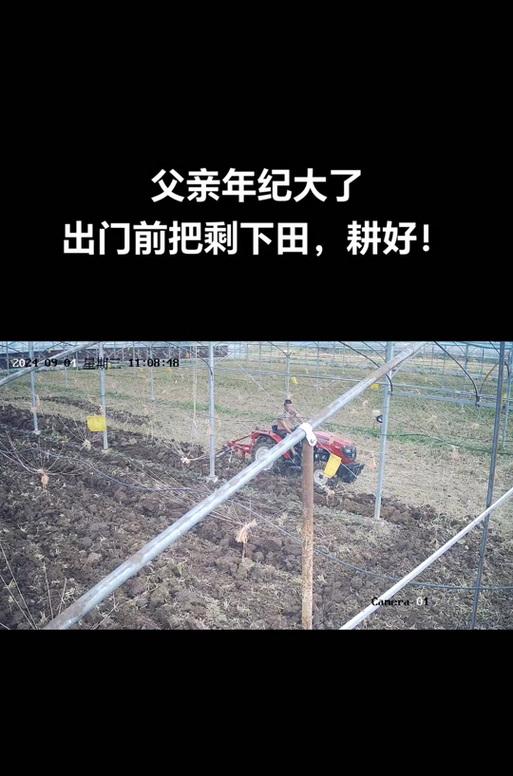 蔬菜种植新手如何变成高手？