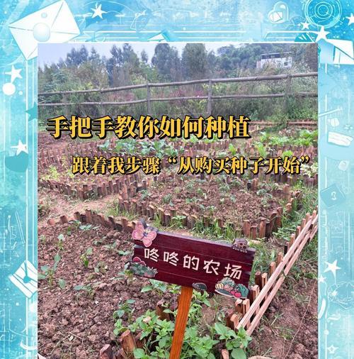蔬菜种植新手如何变成高手？