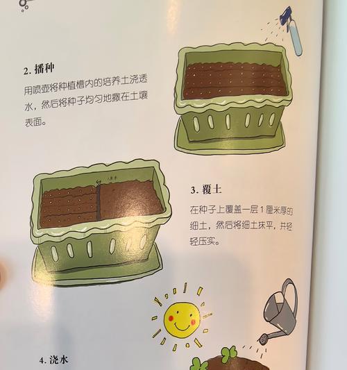 蔬菜种植新手如何变成高手？