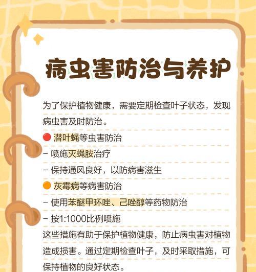 种植时如何选择正确的种植方法？