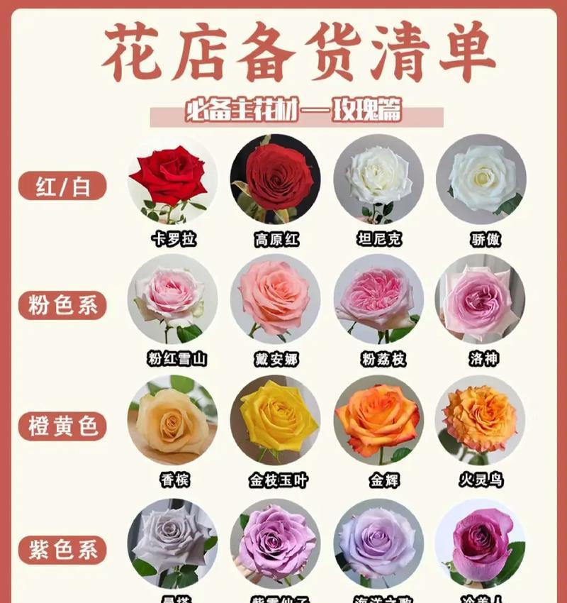 如何正确养护室内植物？每天的花花养护知识告诉你！