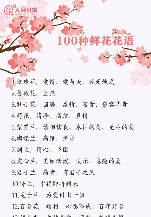 如何正确养护室内植物？每天的花花养护知识告诉你！