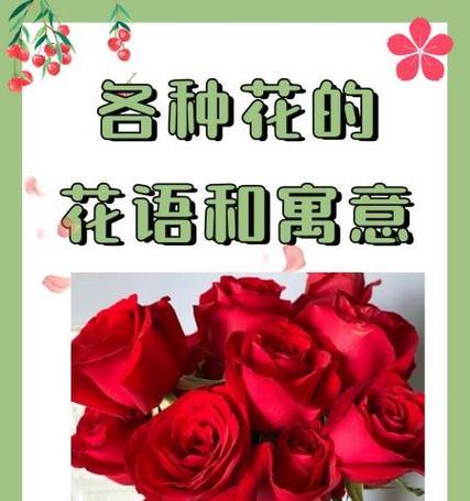 吊竹梅如何养护？打造室内外神秘美丽的植物指南！