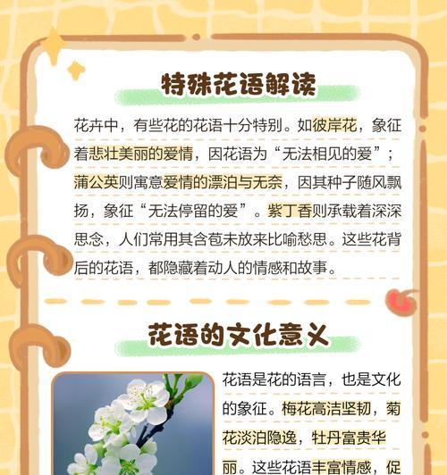 吊竹梅如何养护？打造室内外神秘美丽的植物指南！