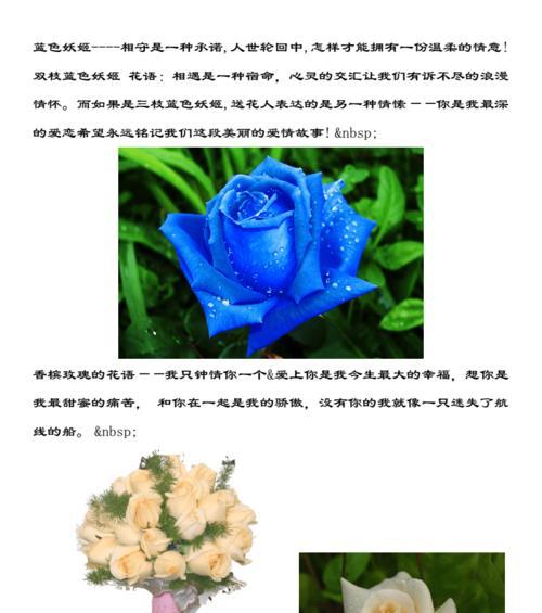 沙漠玫瑰多久开花一次？适合室内养吗？需要什么条件？