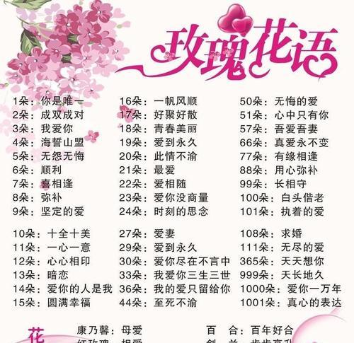 蟹爪兰养护技巧是什么？如何为其创造温暖的生长环境？