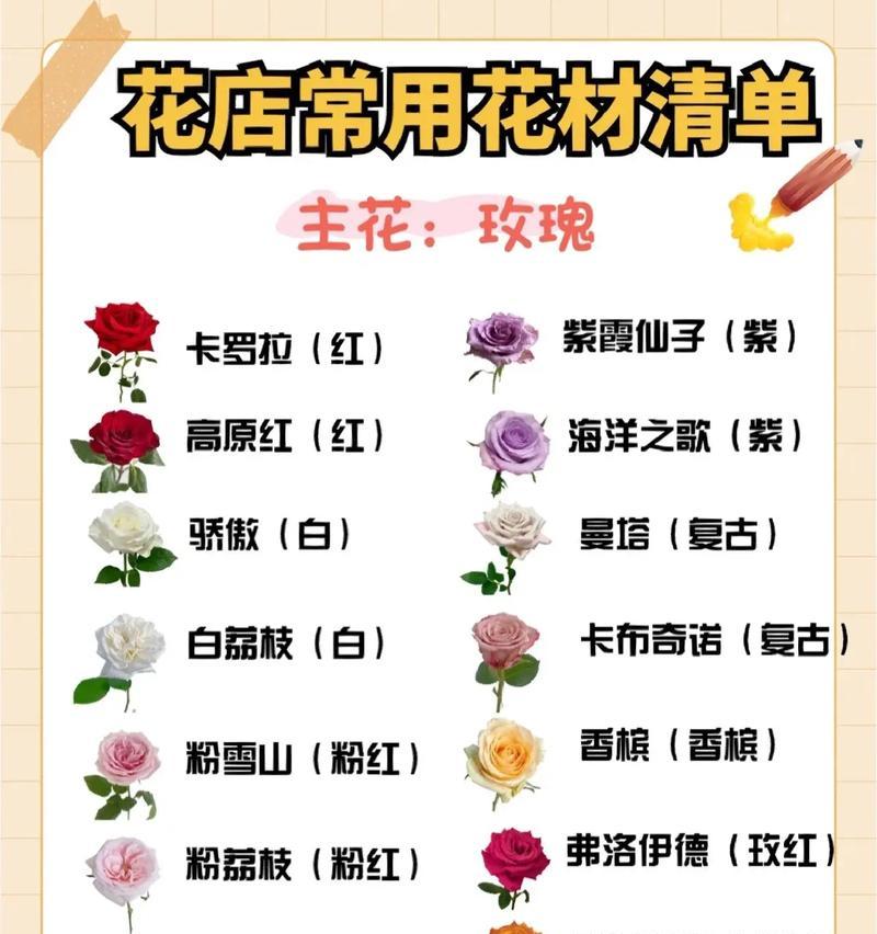 蟹爪兰养护技巧是什么？如何为其创造温暖的生长环境？