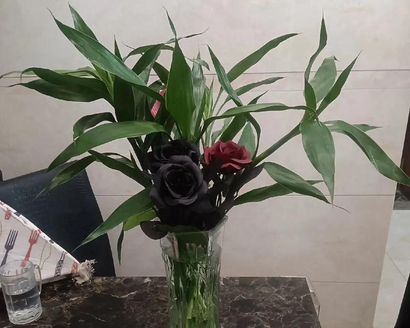 富贵竹招魂竹有何特别之处？如何养护观赏？