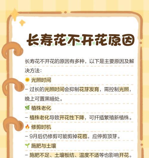 长寿花四季开花如何养护？有哪些养护秘籍？