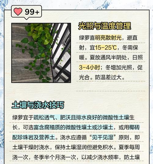 绿萝如何养护？有哪些养护秘籍？