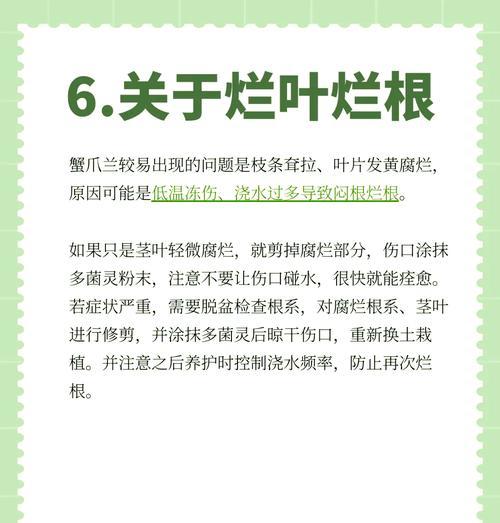蟹爪兰开花时间是什么时候？有哪些养护秘籍？