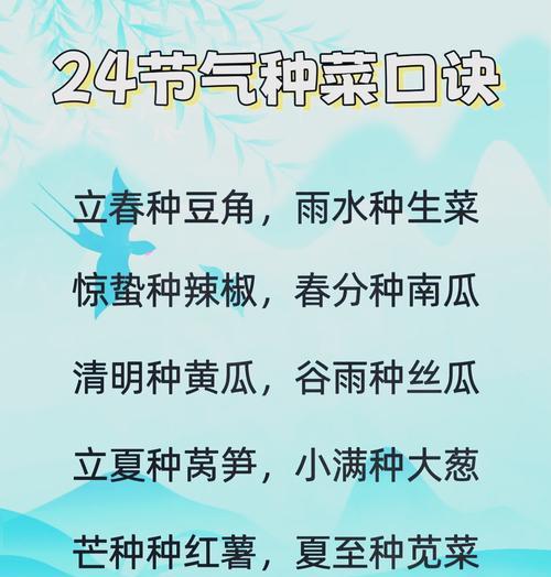 高温季节如何种植蔬菜？有哪些实用策略？