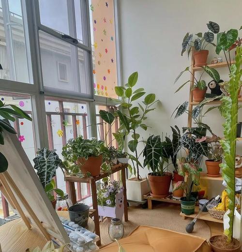 苔藓苗细弱东倒西歪？封闭阳台养护指南是什么？