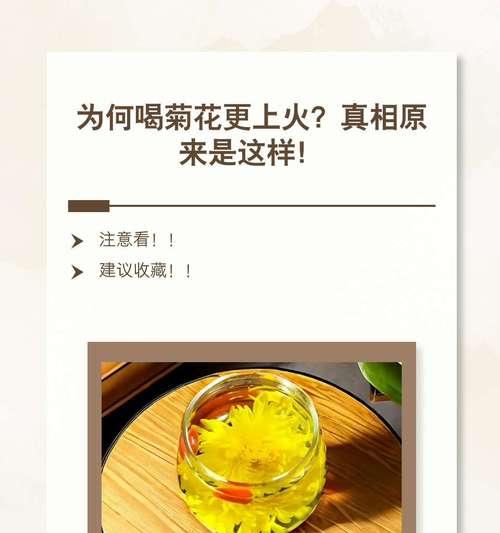 雏菊与杭菊有何关系？揭开这两种菊花的谜团？
