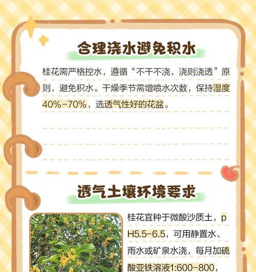桂花树栽培方法和注意事项：如何让桂花树茁壮成长？