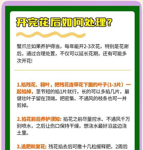 蟹爪兰养护秘诀：两种肥料与全方位管理：蟹爪兰的养护技巧是什么？