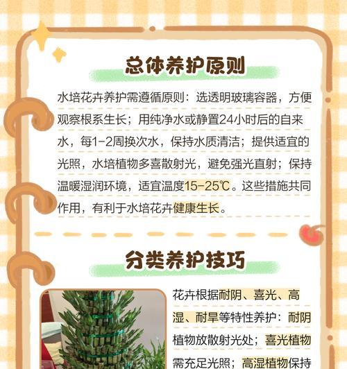 精品大花卉花卉：精品大花卉花卉的养护技巧有哪些？