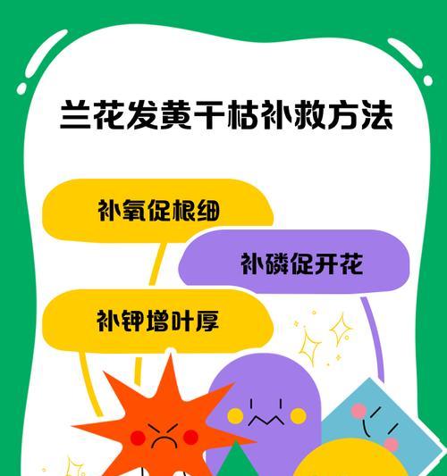 白兰花叶子发黄掉落,叶茎发黑怎么办？