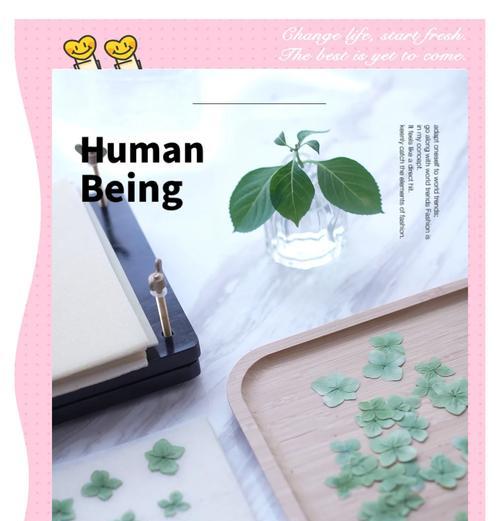 从不开花到盛放的技巧