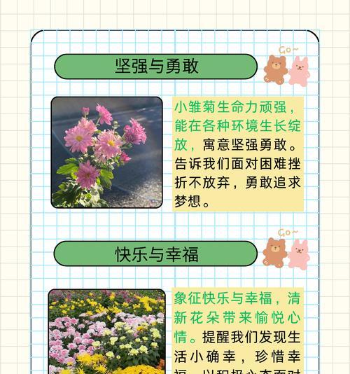 花卉雏菊的种植方法是什么？