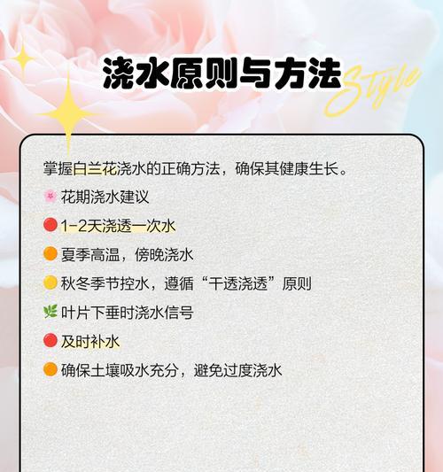 白兰花种植繁殖技术是什么？养护疑问如何解答？