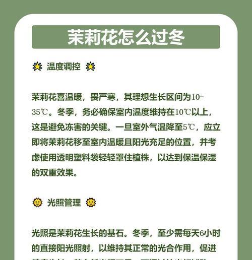 非洲茉莉冬季养护方法？如何安全过冬？