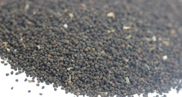 金鱼草种子能否开花？种植经验有哪些？