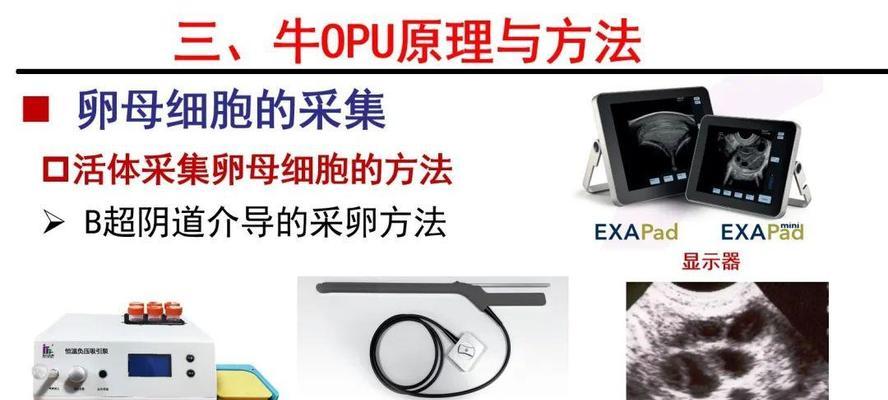 生物是如何繁殖的？有哪些繁殖方式？