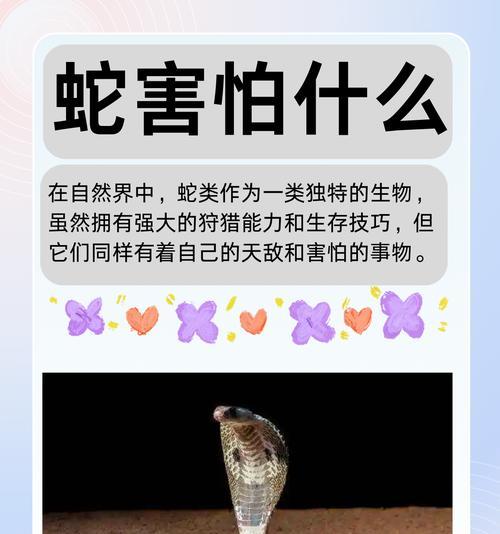 蛇最讨厌的6种植物？家里种什么蛇会绕道走？